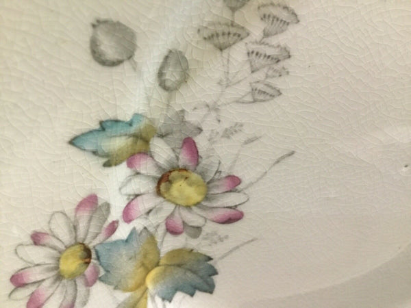 SET OF (8) ANTIQUE T&R BOOTE IRONSTONE DAISY PATTERN 8” SALAD PLATES (ENGLAND)