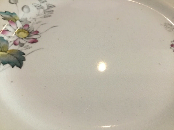 SET OF (8) ANTIQUE T&R BOOTE IRONSTONE DAISY PATTERN 8” SALAD PLATES (ENGLAND)