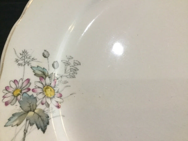 Antique T&R Boote Ironstone Dinner Plates (England)