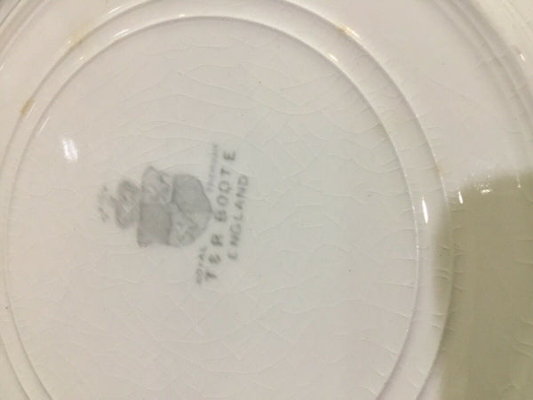 SET OF (8) ANTIQUE T&R BOOTE IRONSTONE DAISY PATTERN 8” SALAD PLATES (ENGLAND)