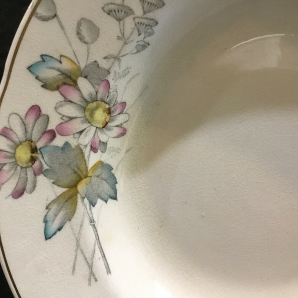 SET OF (4) ANTIQUE T & R BOOTE IRONSTONE DAISY PATTERN RIMMED SOUP BOWLS (ENGLAND)