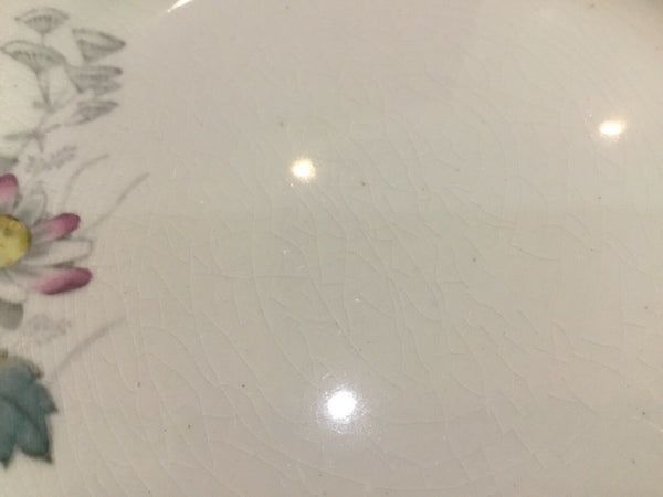 SET OF (8) ANTIQUE T&R BOOTE IRONSTONE DAISY PATTERN 8” SALAD PLATES (ENGLAND)