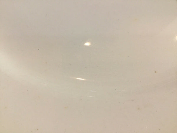 Antique T&R Boote Ironstone Dinner Plates (England)