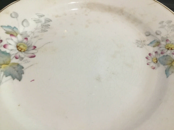 SET OF (8) ANTIQUE T&R BOOTE IRONSTONE DAISY PATTERN 8” SALAD PLATES (ENGLAND)
