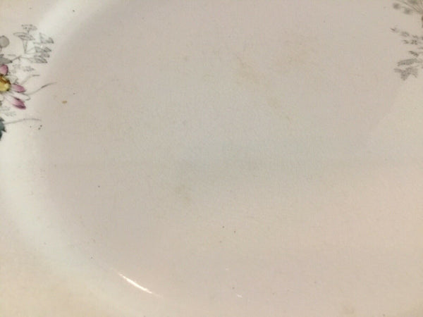 Antique T&R Boote Ironstone Dinner Plates (England)