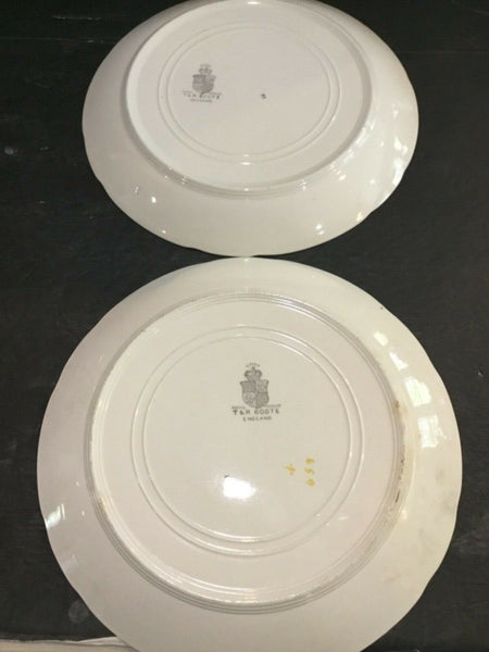 Antique T&R Boote Ironstone Dinner Plates (England)