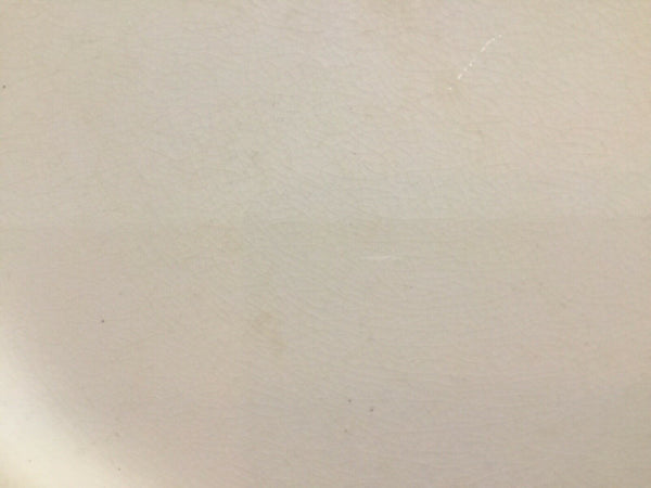 Antique T&R Boote Ironstone Dinner Plates (England)