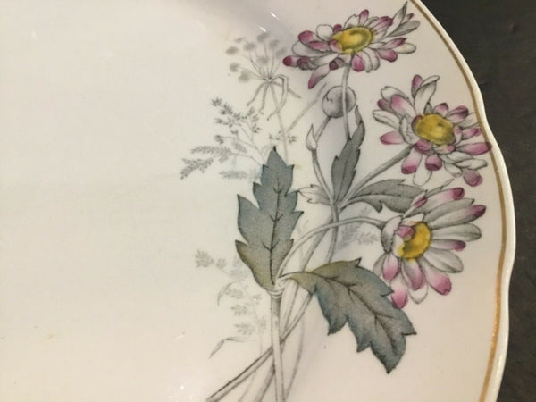 Antique T&R Boote Ironstone Dinner Plates (England)