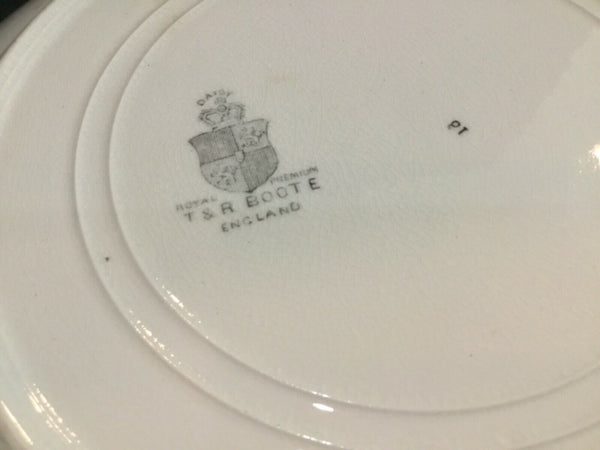 Antique T&R Boote Ironstone Dinner Plates (England)